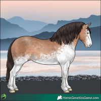 Horse Color:White Spotted Sable Champagne Rabicano 