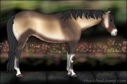 Horse Color:Brown Onyx 