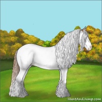 Horse Color:Chestnut Splash Tobiano Blanket 