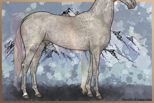 Horse Color:Silver Grullo Ice 