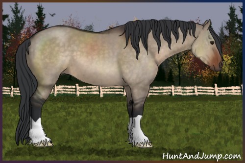 Horse Color:Brown Dun 