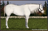 Horse Color:Perlino Dun Rabicano 