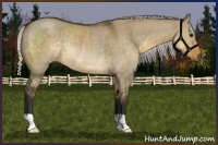 Horse Color:Silver Smoky Grullo Rabicano 