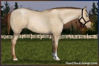 Horse Color:Smoky Grullo Pearl 