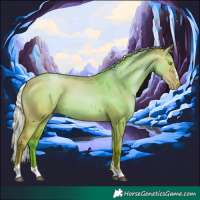 Horse Color:Silver Bay Pearl Dun 