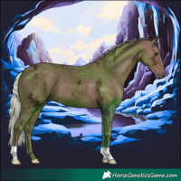 Horse Color:Silver Black Ice 