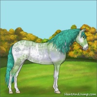 Horse Color:Watercolor Buckskin Ice Onyx 