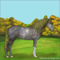 Horse Color:Watercolor Midnight Red Onyx Ice 