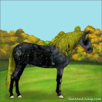 Horse Color:ERROR: UNKNOWN ANOMALY