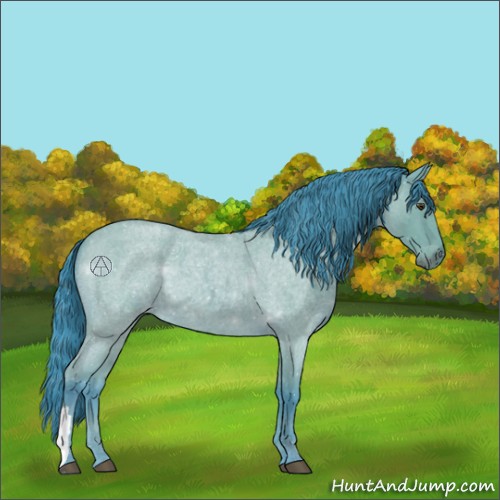 Horse Color:Watercolor Bay Roan