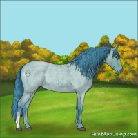 Horse Color:Watercolor Bay Roan 