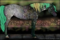 Horse Color:Watercolor Midnight Brown Ice
