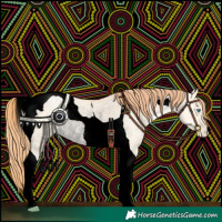 Horse Color:Void Classic Cream Champagne Pearl Dun Tobiano Rabicano