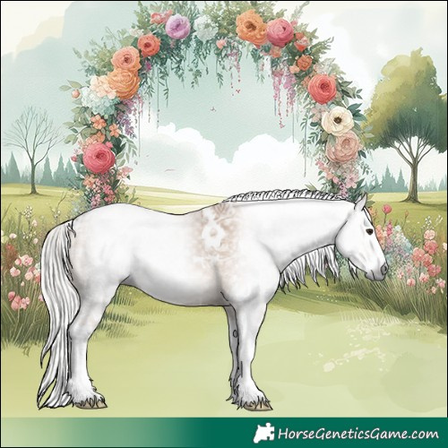 Horse Color:Gray White Spotted Silver Bay Ice Dun Splash 