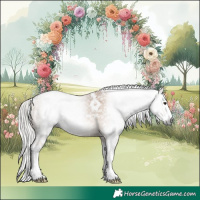 Horse Color:Gray White Spotted Silver Bay Ice Dun Splash 