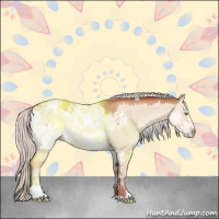 Horse Color:Silver Sable Champagne Ice Roan Dun Sabino Rabicano 