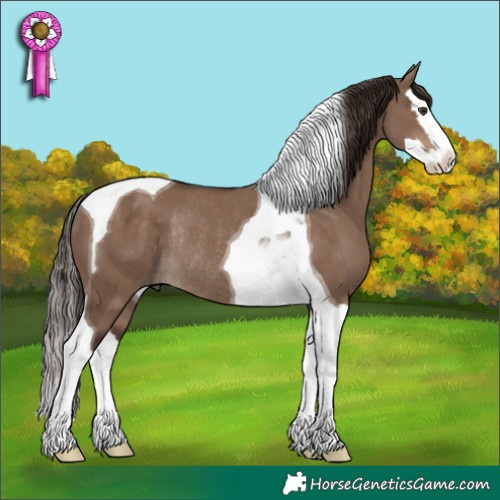 Horse Color:Liver Red Dun Splash Tobiano Rabicano 