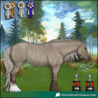 Horse Color:Silver Smoky Grullo Roan Rabicano 