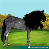 Horse Color:ERROR: UNKNOWN ANOMALY