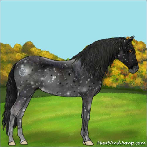 Horse Color:ERROR: UNKNOWN ANOMALY