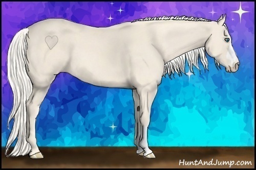 Horse Color:Cremello 