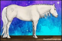 Horse Color:Cremello 