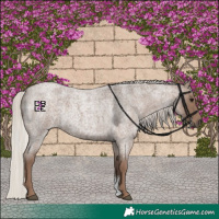 Horse Color:Silver Blue Roan Sabino 