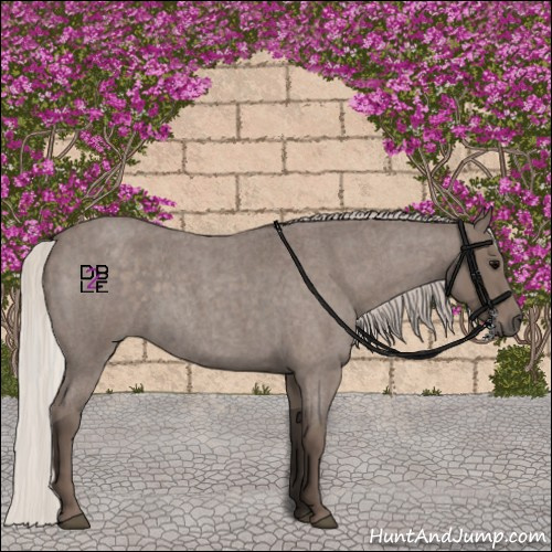Horse Color:Silver Blue Roan Sabino 