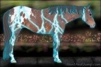 Horse Color:Thunderstruck Chocolate Brown Appaloosa 