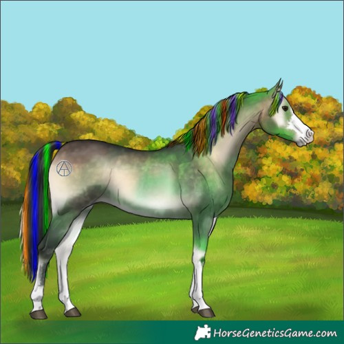 Horse Color:Painted Brown Onyx  and Painted Brown Onyx 