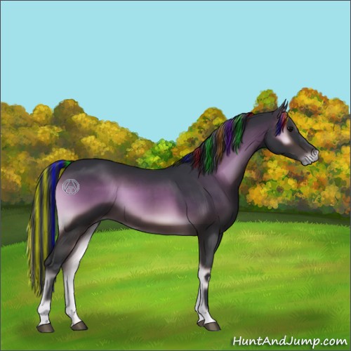 Horse Color:Painted Brown Onyx 