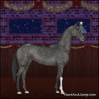 Horse Color:Black Appaloosa