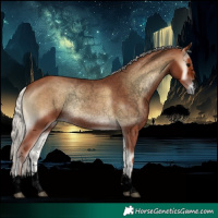 Horse Color:Void Silver Blue Onyx 