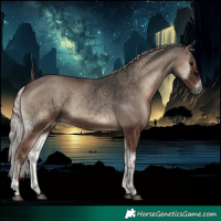 Horse Color:Void Silver Blue Onyx 