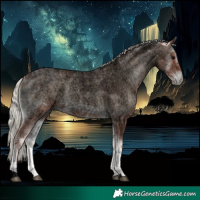 Horse Color:Void Silver Blue Onyx Ice Roan 