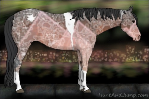 Horse Color:Brown Ice Tobiano Appaloosa 
