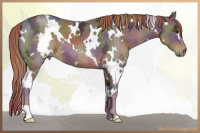 Horse Color:Nacre White Spotted Liver Chestnut Ice 