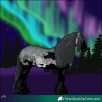 Horse Color:Void Brown Chinchilla Dun Splash 