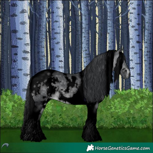 Horse Color:Void White Spotted Brown Chinchilla Tobiano