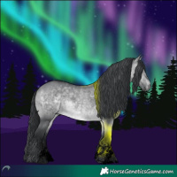 Horse Color:Void Brown Chinchilla Dun Sabino 