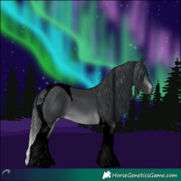 Horse Color:Void Brown Chinchilla Tobiano 