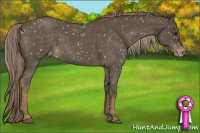 Horse Color:Chocolate Palomino Roan Snowflake Varnish