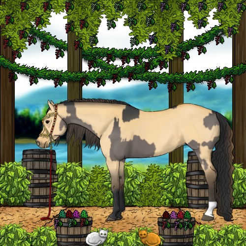 Horse Color:Grullo  and Buckskin Dun 