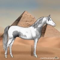 Horse Color:Black Splash Tobiano 