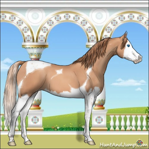 Horse Color:Gold Champagne Splash Tobiano 