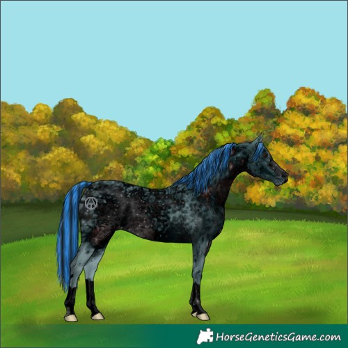 Horse Color:ERROR: UNKNOWN ANOMALY