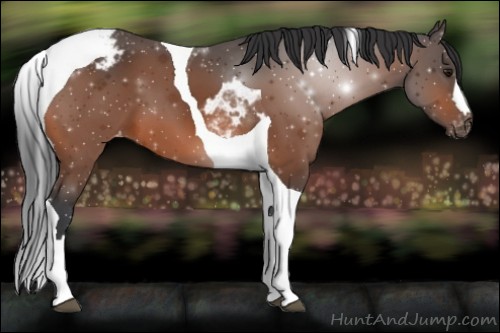 Horse Color:Bay Tobiano Varnish 