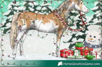 Horse Color:White Spotted Palomino Mushroom 