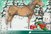 Horse Color:Palomino Mushroom 