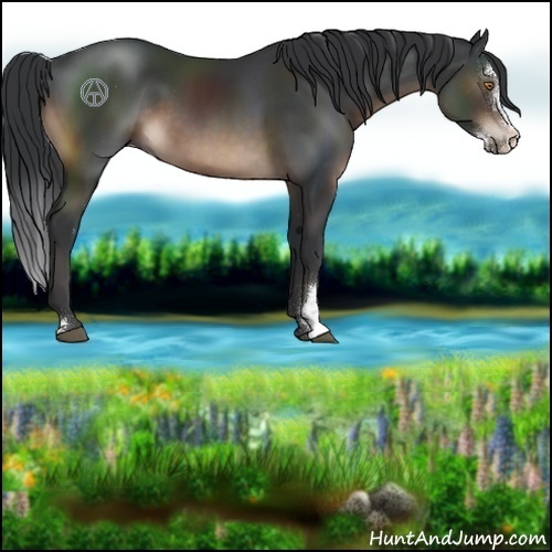 Horse Color:Brown Sabino 